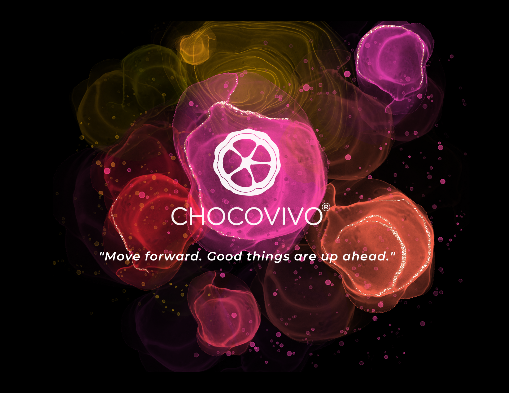 Wine & Chocolate Pairing