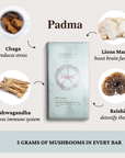 Padma Mushroom Dark Chocolate Bar - Reishi, Ashwagandha, Lions Mane, Chaga