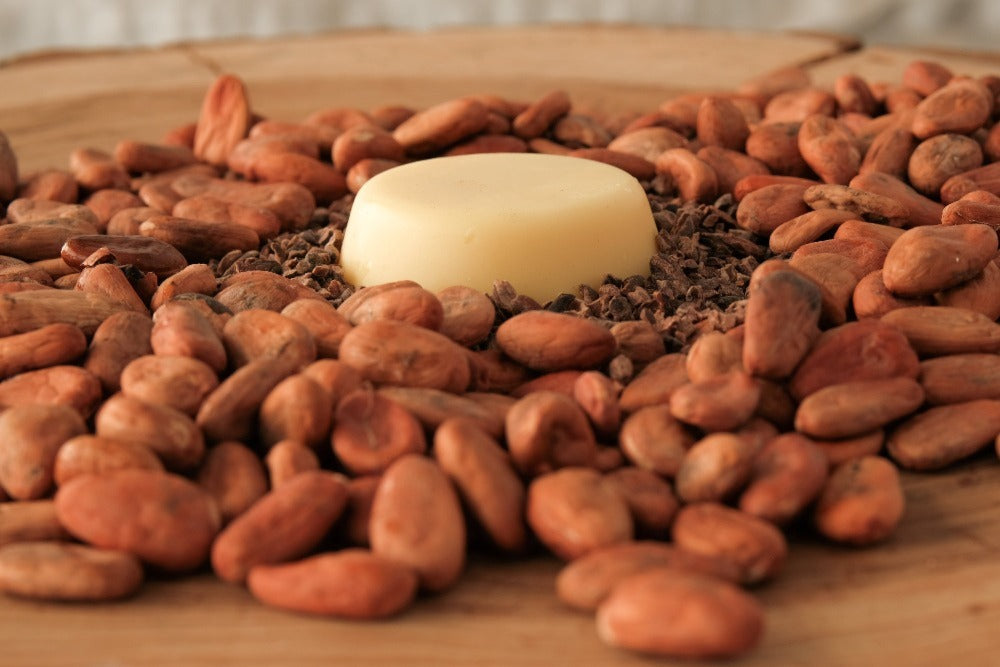 Cacao Lotion Bar